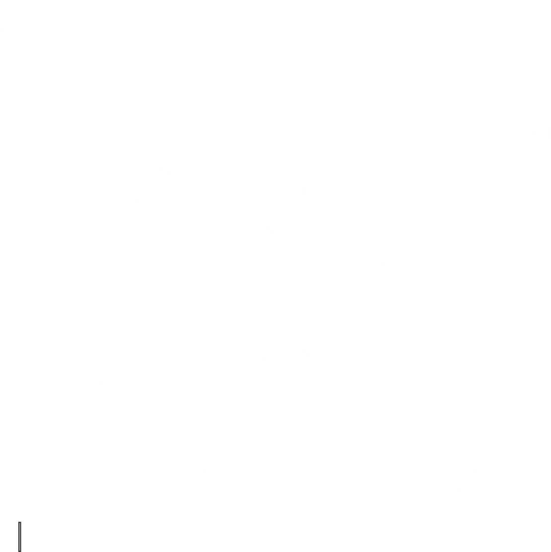 freedomimmigrationlawyer.com